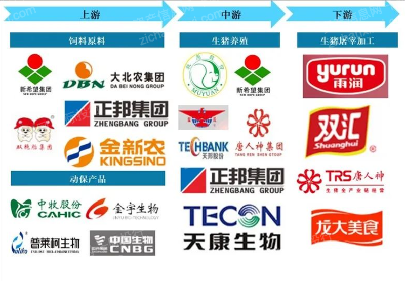 rb88随行版_首页官网入口