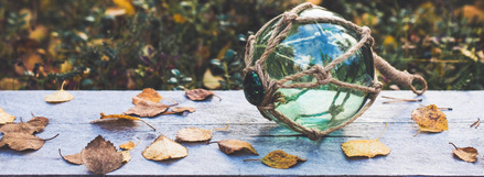 rb88随行版_首页官网入口