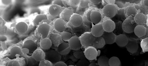 rb88随行版_首页官网入口