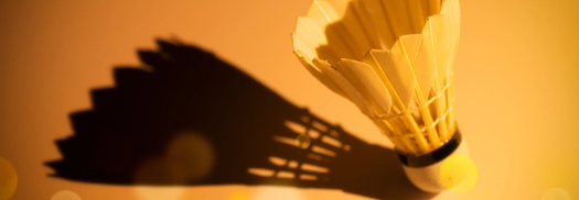 rb88随行版_首页官网入口