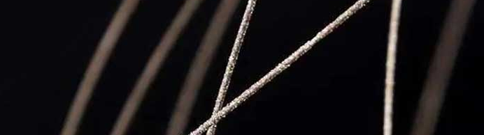 rb88随行版_首页官网入口