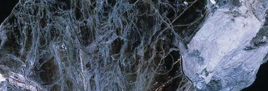 rb88随行版_首页官网入口