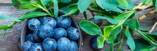 rb88随行版_首页官网入口