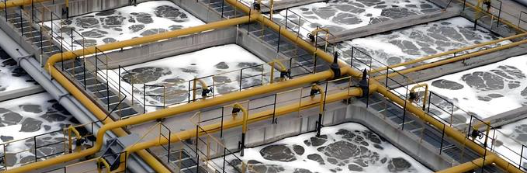 rb88随行版_首页官网入口