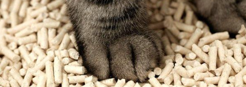 rb88随行版_首页官网入口