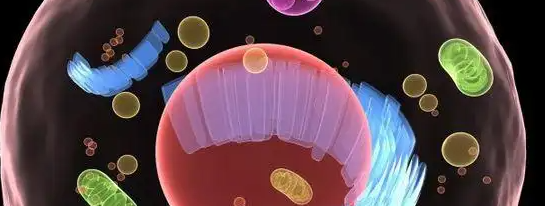 rb88随行版_首页官网入口