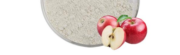 rb88随行版_首页官网入口