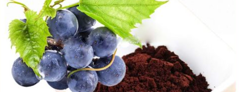 rb88随行版_首页官网入口