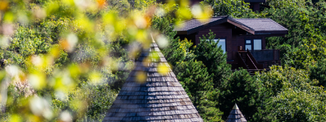 rb88随行版_首页官网入口