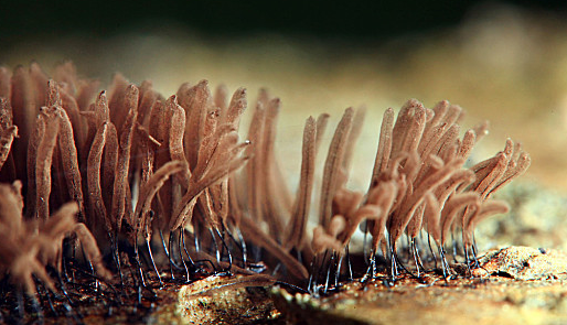 rb88随行版_首页官网入口