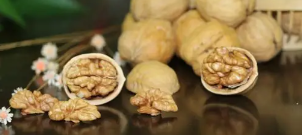 rb88随行版_首页官网入口