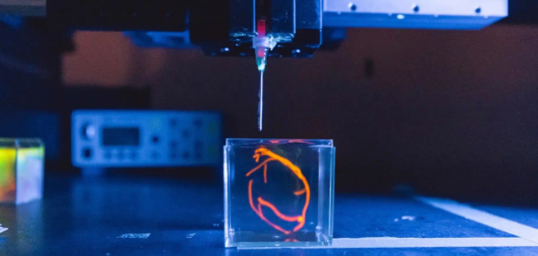 rb88随行版_首页官网入口