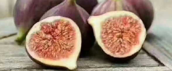 rb88随行版_首页官网入口