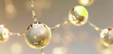 rb88随行版_首页官网入口