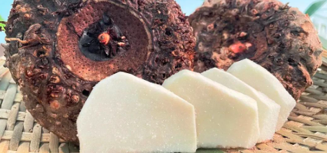 rb88随行版_首页官网入口