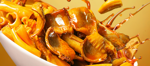 rb88随行版_首页官网入口