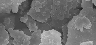 rb88随行版_首页官网入口