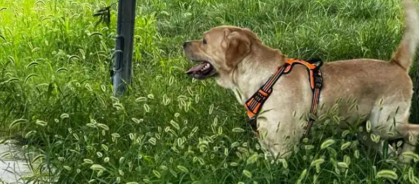 rb88随行版_首页官网入口