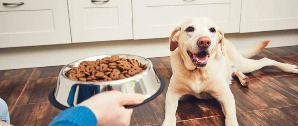 rb88随行版_首页官网入口