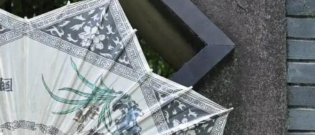 rb88随行版_首页官网入口