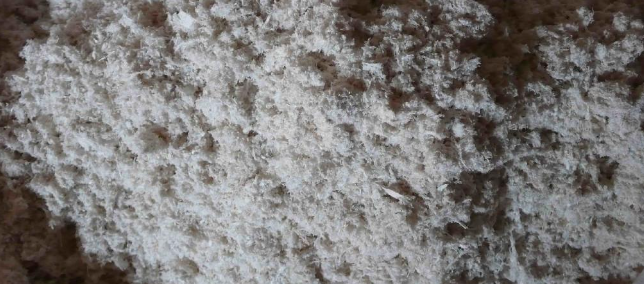 rb88随行版_首页官网入口