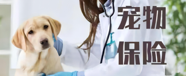 rb88随行版_首页官网入口