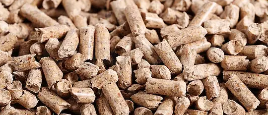 rb88随行版_首页官网入口