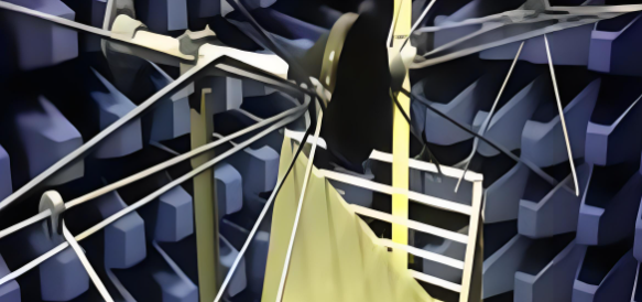 rb88随行版_首页官网入口