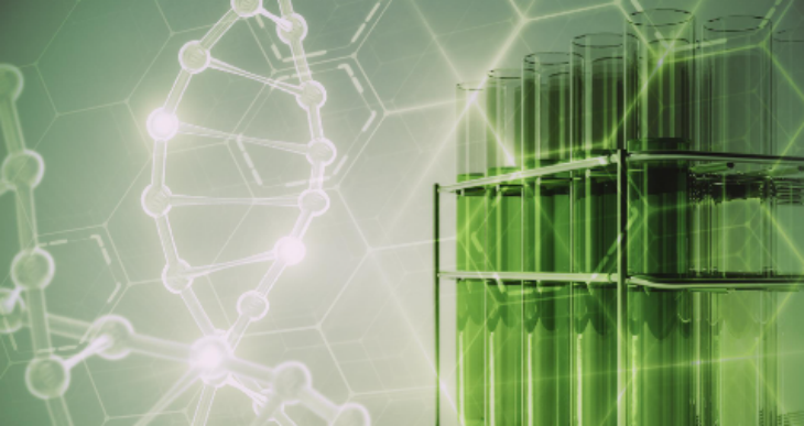 rb88随行版_首页官网入口