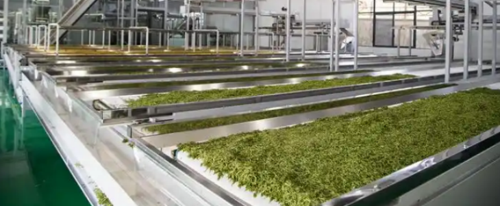 rb88随行版_首页官网入口