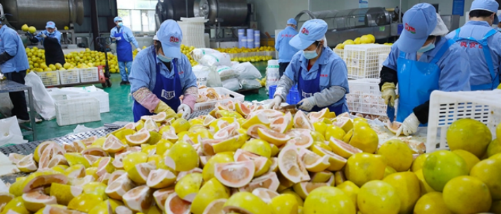 rb88随行版_首页官网入口