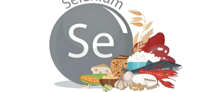 rb88随行版_首页官网入口